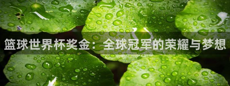 世界杯在线直播:篮球世界杯奖金:全球冠军的荣耀与梦想