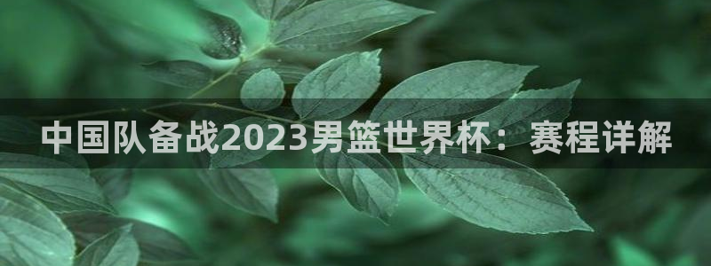 2026世界杯32强对阵图表:中国队备战2023男篮世界杯:赛程详解
