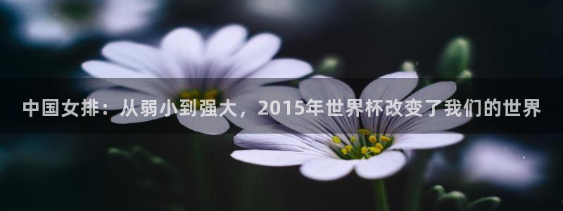 世界杯欧洲预选赛:中国女排:从弱小到强大,2015年世界杯改变了我们的世界