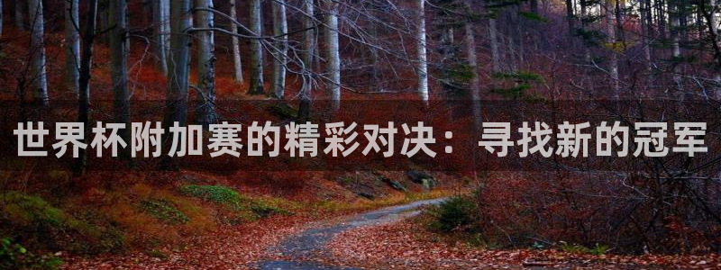 世界杯在线直播:世界杯附加赛的精彩对决:寻找新的冠军
