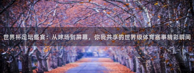 亚洲杯足球:世界杯足坛盛宴:从球场到屏幕,你我共享的世界级体育赛事精彩瞬间