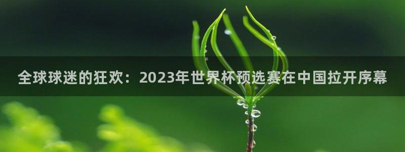 世界杯直播:全球球迷的狂欢:2023年世界杯预选赛在中国拉开序幕