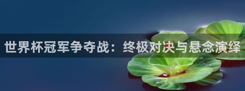 看世界杯:世界杯冠军争夺战:终极对决与悬念演绎