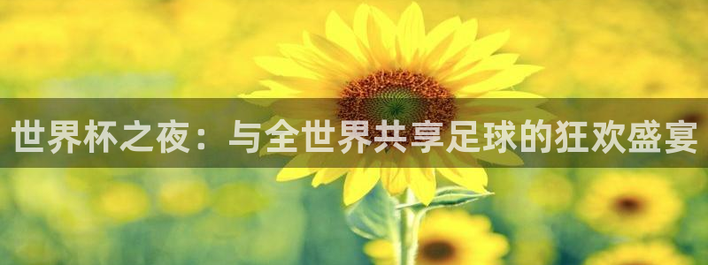 世界杯预选赛赛程表:世界杯之夜:与全世界共享足球的狂欢盛宴