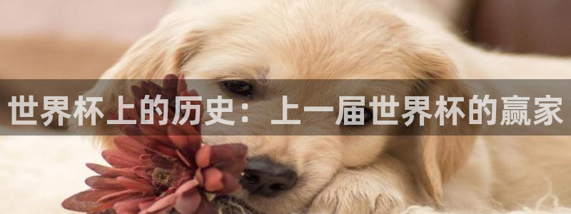 2026 世界杯:世界杯上的历史:上一届世界杯的赢家