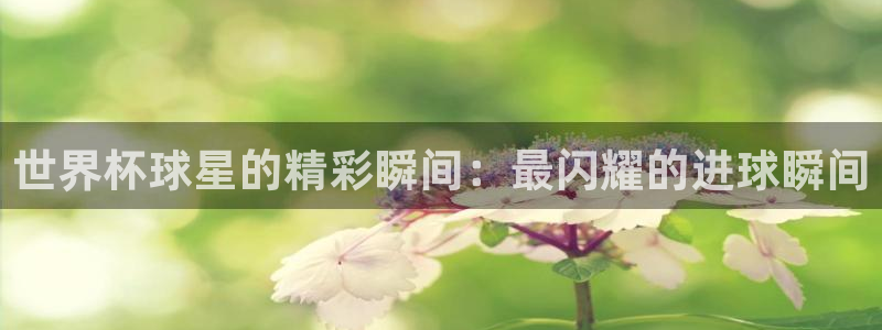世界杯预选赛欧洲赛区赛程:世界杯球星的精彩瞬间:最闪耀的进球瞬间