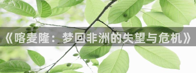 世界杯16强赛程表:《喀麦隆:梦回非洲的失望与危机》